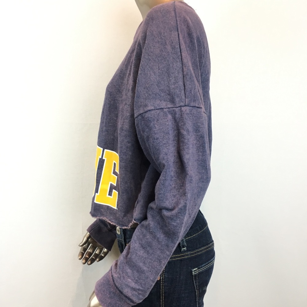 Victoria’s Secret Pink Michigan Crop Sweatshirt - Picture 3 of 8